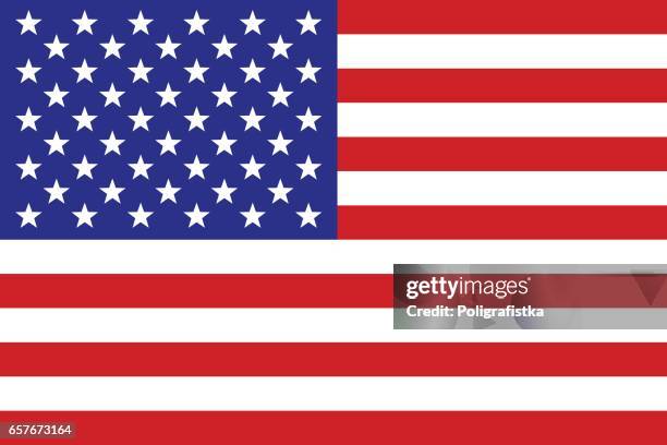 us-flagge - amerikanische kontinente und regionen stock-grafiken, -clipart, -cartoons und -symbole