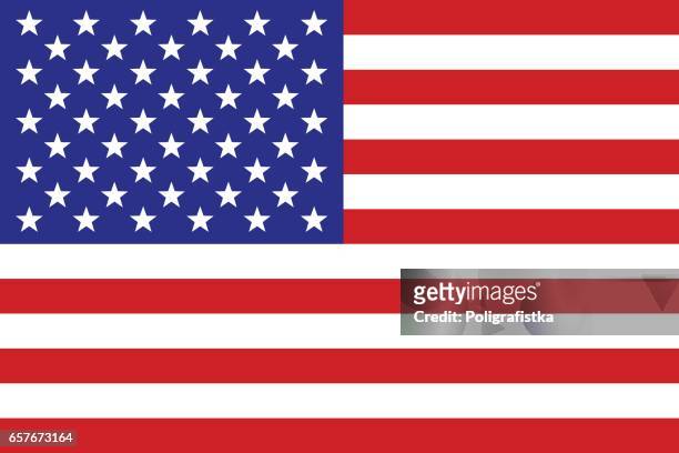 stockillustraties, clipart, cartoons en iconen met amerikaanse vlag - usa