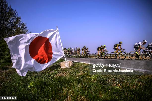 Cycling 32nd Settimana Internazionale Coppi e Bartali 2017 / Stage 3 Landscape / Peloton / Japanese Flag/ Crevalcore - Crevalcore /