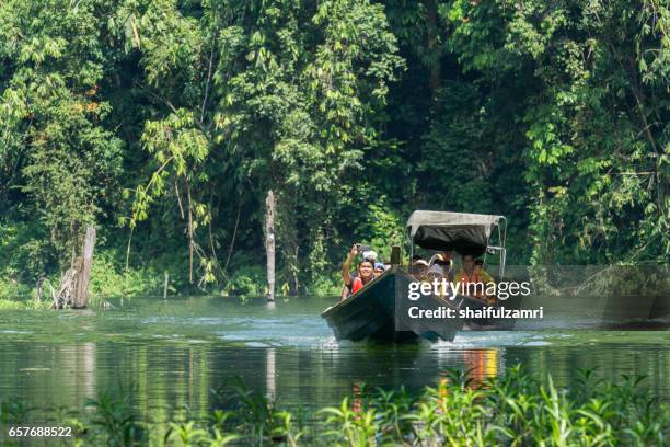 local tourist enjoying a boat ride in royal belum rainforest park, is believed to have been in existence for over 130 million years. - perak state photos et images de collection
