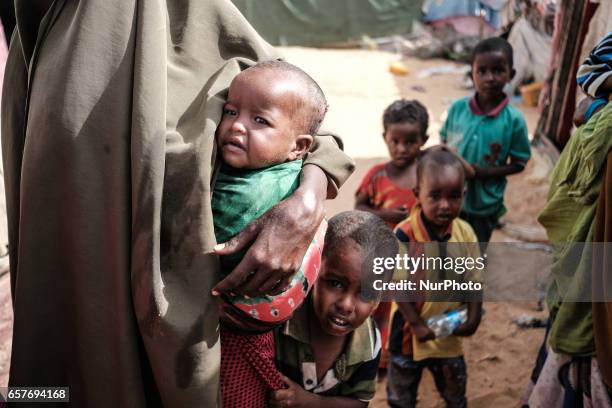 Somalia in the grip of an unprecedent and devastating food crisis. Drought has caused crops to fail and cattle to die in Somalia causing severe food...