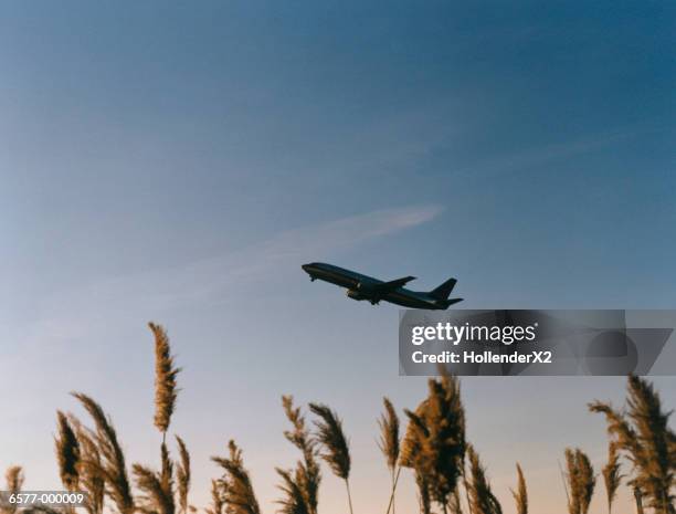 airplane taking off - envol photos et images de collection