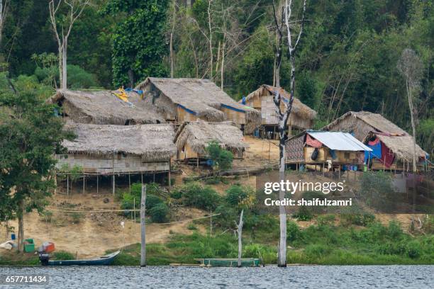 group of aborigine villagers in royal belum rainforest. small population of aborigine found here and still maintains traditional lifestyle. - perak state photos et images de collection