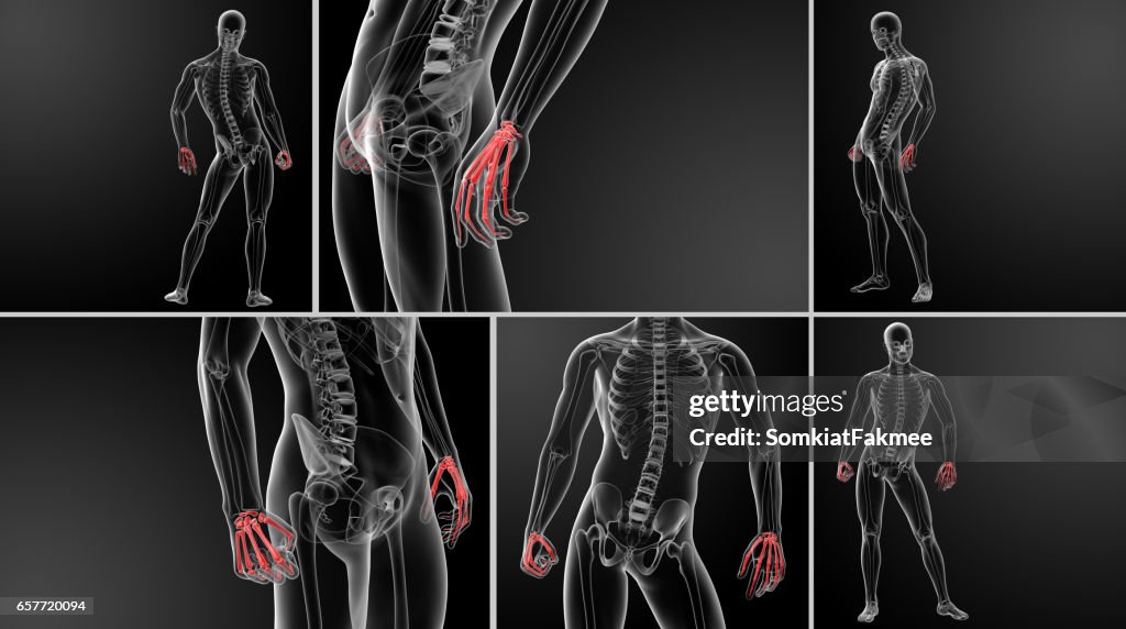 Hand Rendering Grid 3d Rendering Illustration Of Hand High-Res Vector Graphic - Getty Images