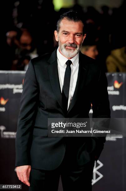 Antonio Banderas attends photocall during of the 20th Malaga Film Festival on March 25, 2017 in Malaga, Spain.