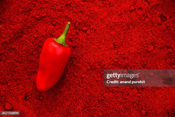 chilli pepper on dried chilli powder - chilli con carne foto e immagini stock