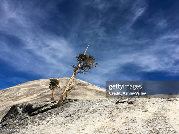 boy hiking alone on large dome in yosemite - wiley park stock pictures, royalty-free photos & images