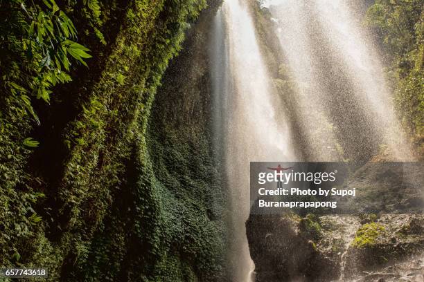 traveler standing on the rock in the tropical rainforest at madakaripura waterfall , east java , indonesia - java foto e immagini stock