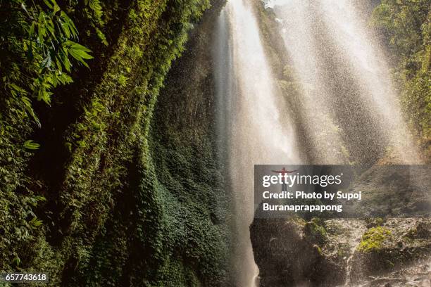 traveler standing on the rock in the tropical rainforest at madakaripura waterfall , east java , indonesia - indonesia imagens e fotografias de stock