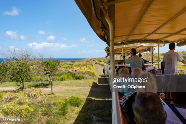 sight seeing train on the island of saint kitts. - ogphoto stock pictures, royalty-free photos & images