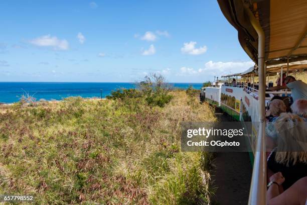 眼看到火車上聖基茨島。 - ogphoto 個照片及圖片檔