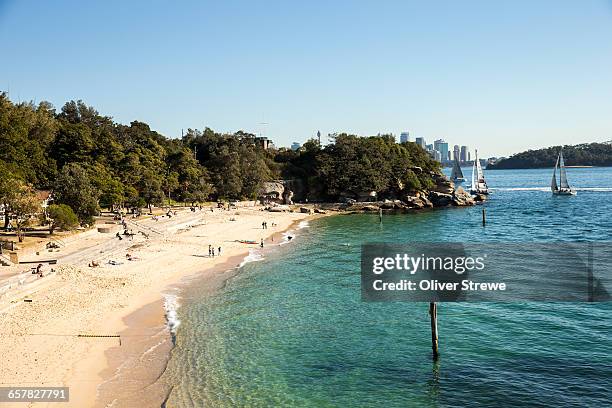 sunbathers shark beach - hafen von sydney stock-fotos und bilder