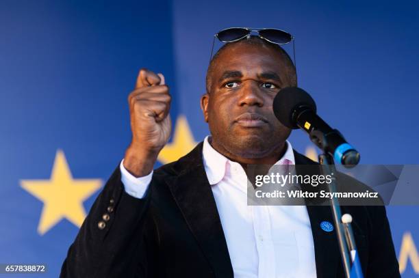 David Lammy MP addresses thousands of pro-EU supporters at Unite For Europe March rally in Parliament Square, which has been organised to coincide...