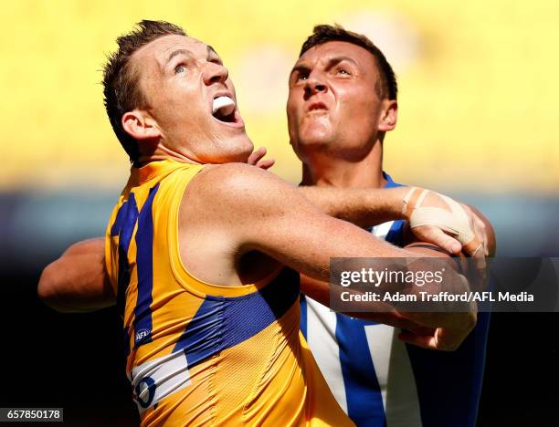 Drew Petrie of the Eagles and Braydon Preuss of the Kangaroos compete in a ruck contest during the 2017 AFL round 01 match between the North...