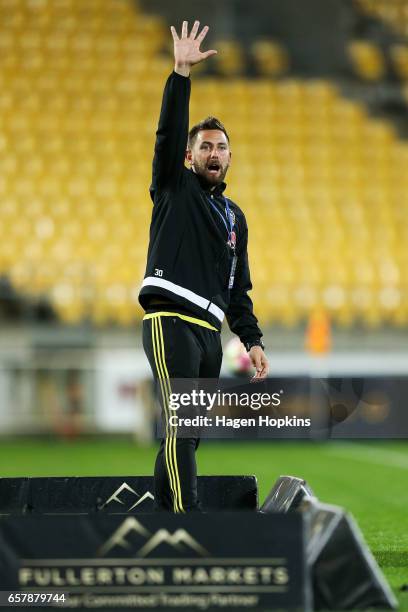 Co-coach Des Buckingham of the Phoenix appeals to officials during the round 24 A-League match between Wellington Phoenix and Newcastle Jets at...