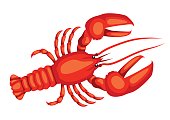 Red lobster. Isolated illustration of seafood on white background