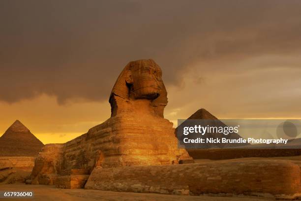 sunset at the sphinx and pyramid complex giza, egypt. - the sphinx stock pictures, royalty-free photos & images