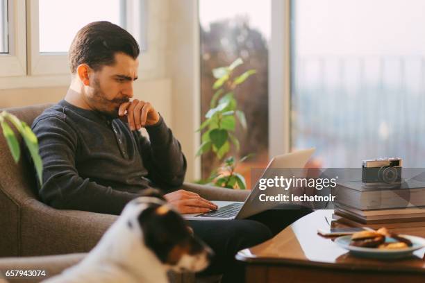 moderno joven trabajo en casa - moustaches animales fotografías e imágenes de stock