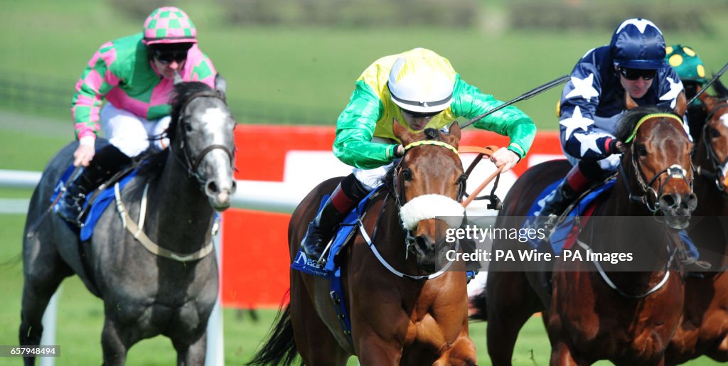 Naas Races