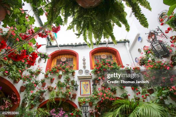 patio decorated with flowers during patios festival, córdoba - cordoba stockfoto's en -beelden