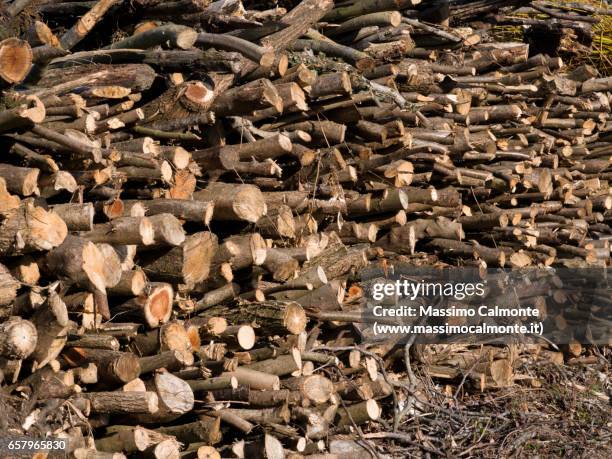 full frame texture of wood - ceppo stockfoto's en -beelden