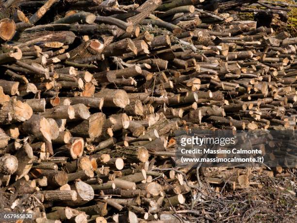 full frame texture of wood - grande gruppo di oggetti stock pictures, royalty-free photos & images