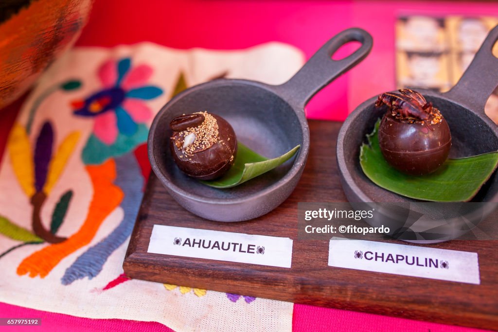Chocolate with Ahuautle, mosquito egg and Chapulines (grasshoppers)