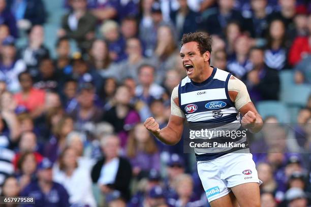 Steven Motlop of the Cats celebrates a goal during the round one AFL match between the Fremantle Dockers and the Geelong Cats at Domain Stadium on...