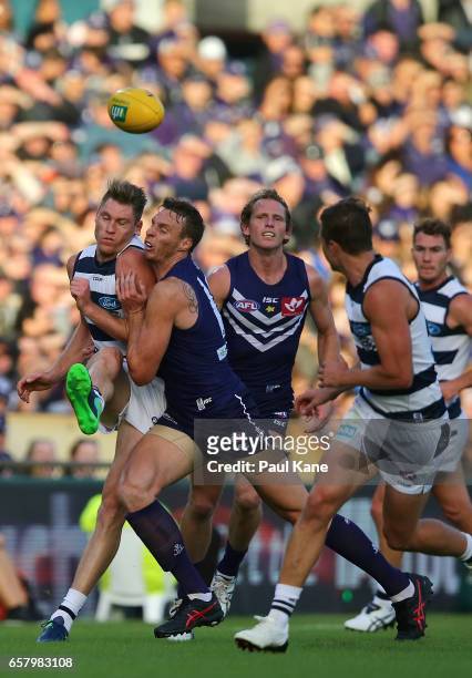 Mark Blicavs of the Cats gets his kick away under pressure from Jon Griffin of the Dockers during the round one AFL match between the Fremantle...