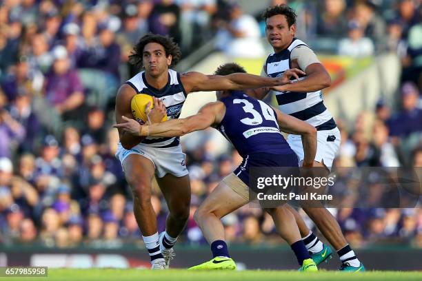 Nakia Cockatoo of the Cats looks to break from a tackle by Lee Spurr of the Dockers during the round one AFL match between the Fremantle Dockers and...