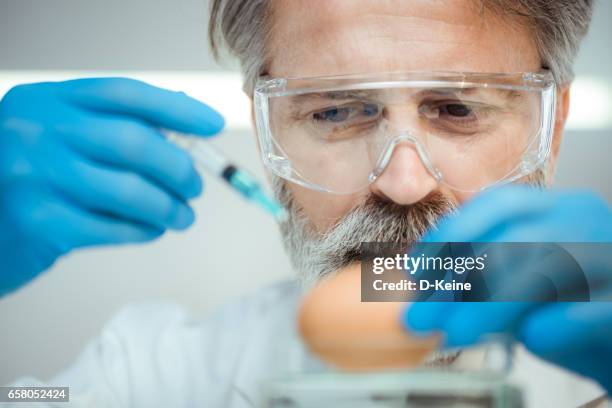 Poultry Injection 209 Poultry Injection Stock Photos, High-Res Pictures, and Images ...