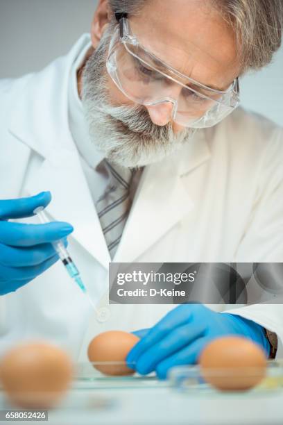Poultry Injection 199 Poultry Injection Stock Photos, High-Res Pictures, and Images ...