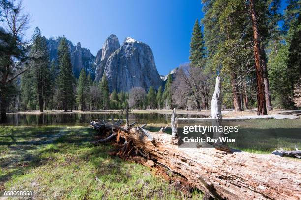 Sentinel Dome Tree 199 Sentinel Dome Yosemite Stock Photos, High-Res Pictures, and Images ...