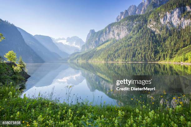 gosausee met uitzicht op dachstein - wilderness area stockfoto's en -beelden