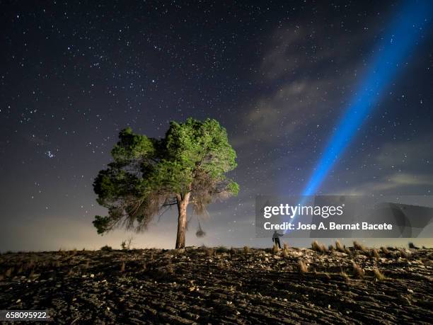 man on the top of a mountain close to a great tree illuminating the sky with stars during the night  with a lantern - paisaje espectacular - fotografias e filmes do acervo