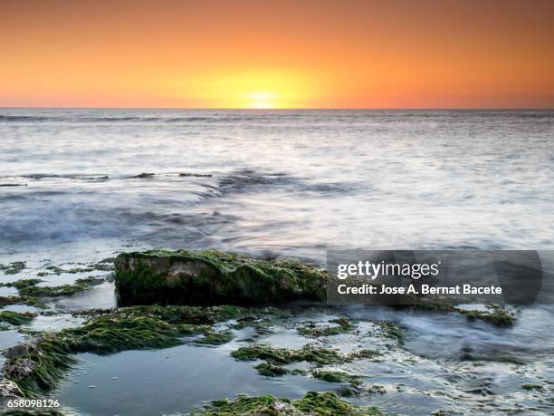 exit of the sun of orange color, on the surface of the sea, in a zone of coast with rocks and waves in movement - majestuoso ストックフォトと画像