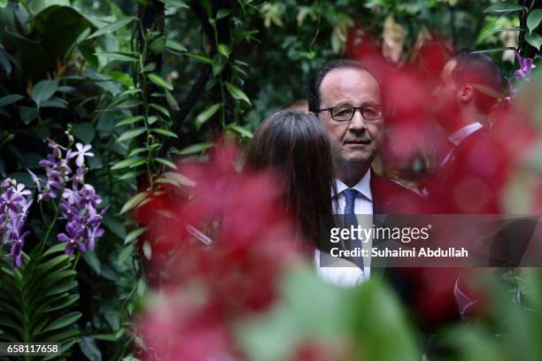 French President Francois Hollande tours the orchid garden after the orchid naming ceremony at the National Orchid Gardens on 27 March, 2017 in...
