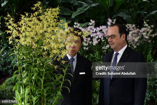 Chief Executive Officer of National Parks Board, Kenneth Er and French President Francois Hollande look at the orchid 'Dendrobium Francois Hollande',...