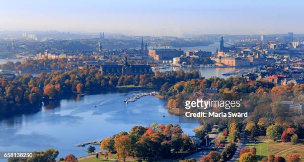 stockholm - aerial view of djurgården and downtown in autumn - stockholm fotografías e imágenes de stock