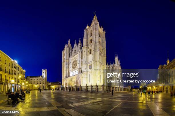 león cathedral at blue hour - レオン県 ストックフォトと画像