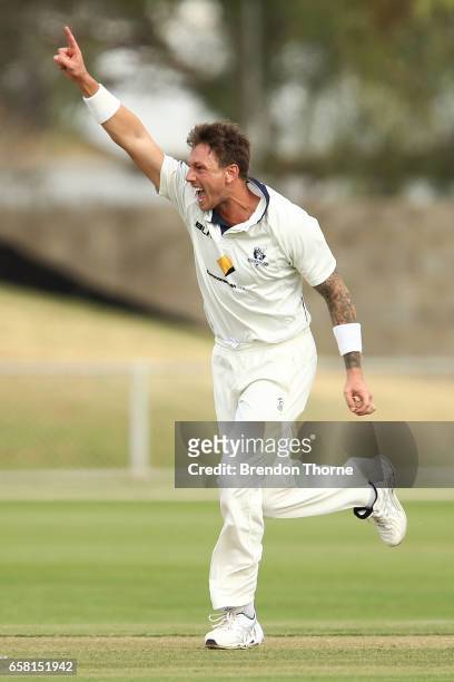 James Pattinson of the Bushrangers celebrates after claiming the wicket of John Dalton of the Redbacks during the Sheffield Shield final between...