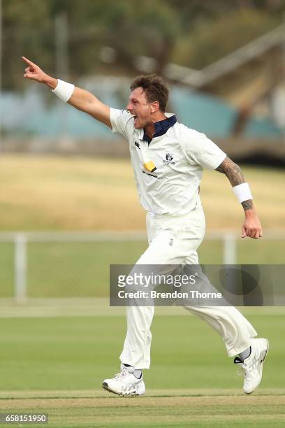 James Pattinson of the Bushrangers celebrates after claiming the wicket of John Dalton of the Redbacks during the Sheffield Shield final between...