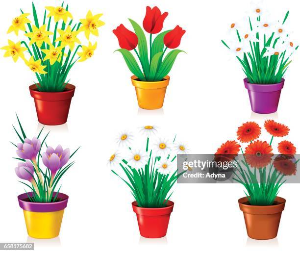 ilustraciones, imágenes clip art, dibujos animados e iconos de stock de flores en pot - tiesto