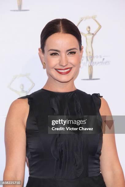 Alejandra Barros attends Premios Tv y Novelas 2017 at Televisa San Angel on March 26, 2017 in Mexico City, Mexico.