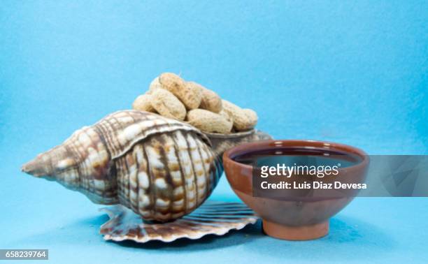 scallop shell filled with snacking peanuts - copa de vino stock-fotos und bilder