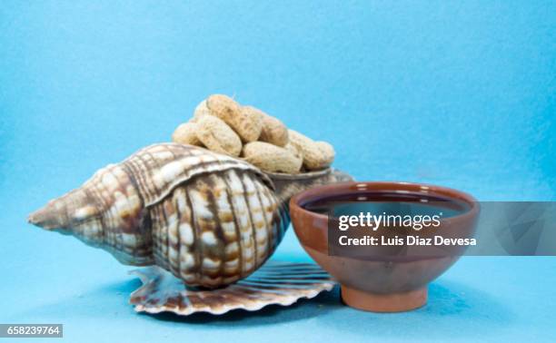 scallop shell filled with snacking peanuts - ingrediente stock pictures, royalty-free photos & images