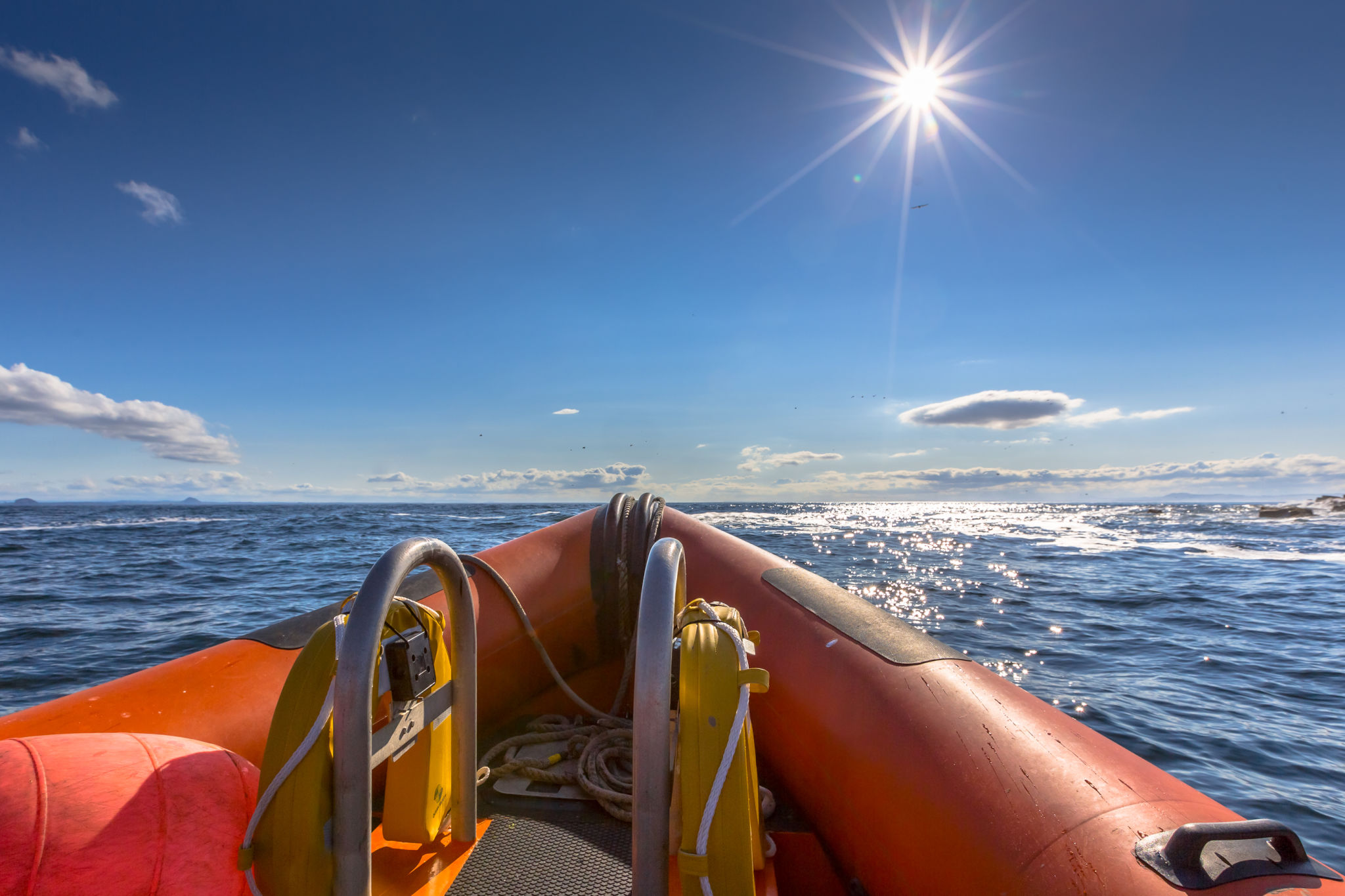 rib boat adventure