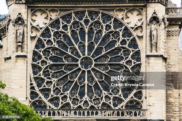 rose window of notre dame cathedral, paris - rosettfönster bildbanksfoton och bilder