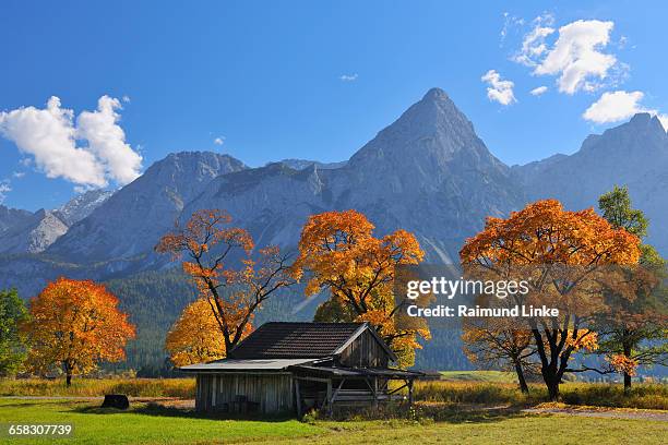 sonnenspitz mountain and colorful maple - lermoos stock-fotos und bilder