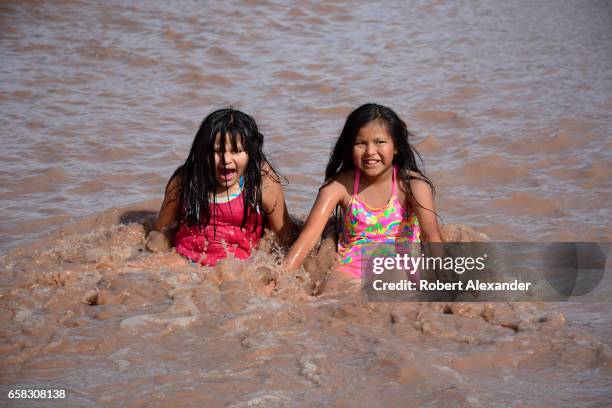 Chline Raz 37 Chinle Wash Stock Photos, High-Res Pictures, and Images - Getty Images